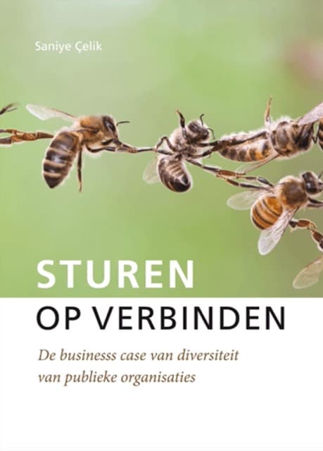 Omslag van Sturen op verbinden